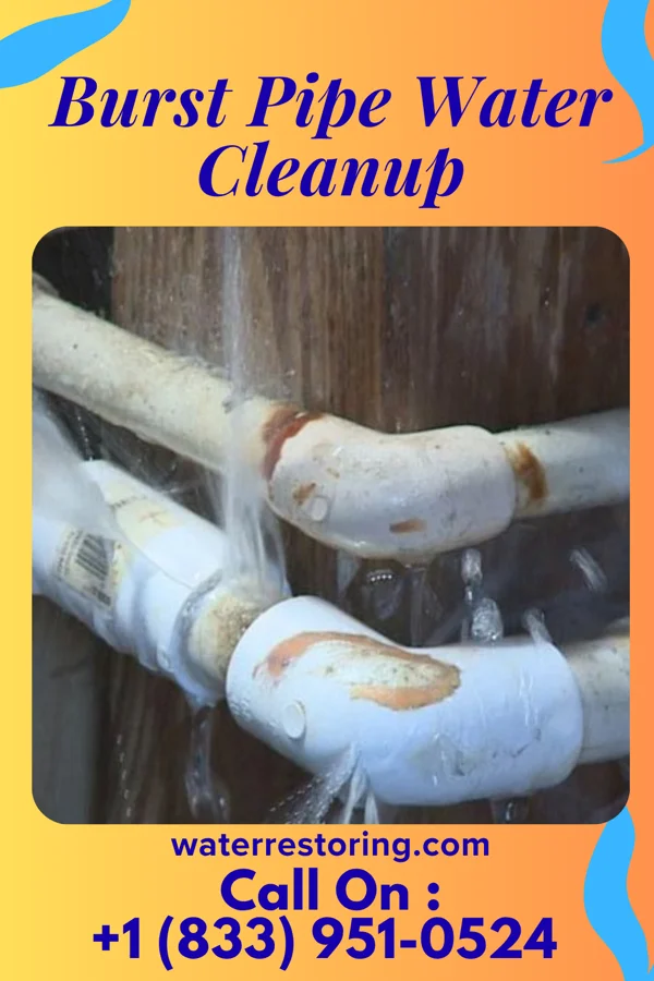 Burst Pipe Water Cleanup in Galena, IN