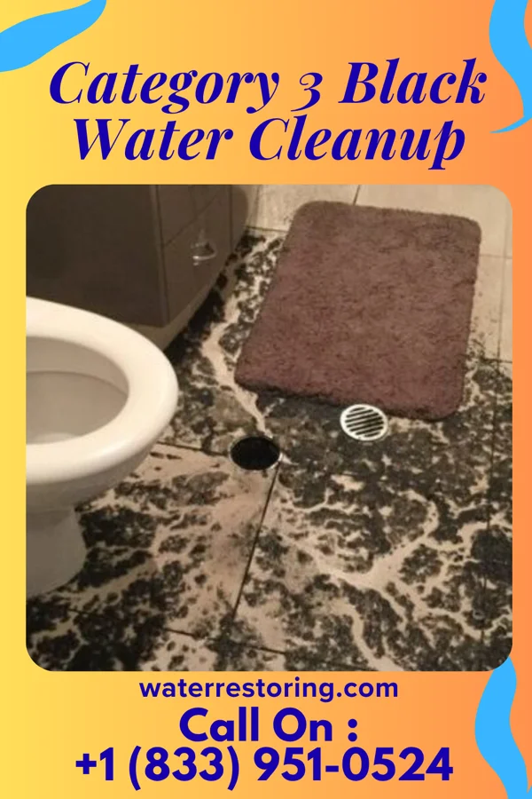 Category 3 Black Water Cleanup in Galena, IN