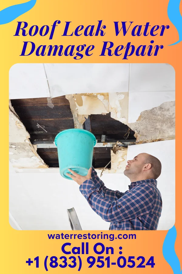 Roof Leak Water Damage Repair in Galena, IN